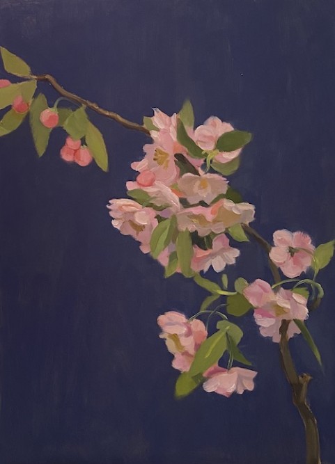 Crabapple 40x30cm Oil:timber 2022